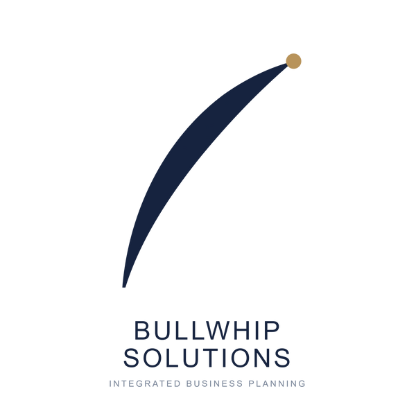 BULLWHIP SOLUTIONS